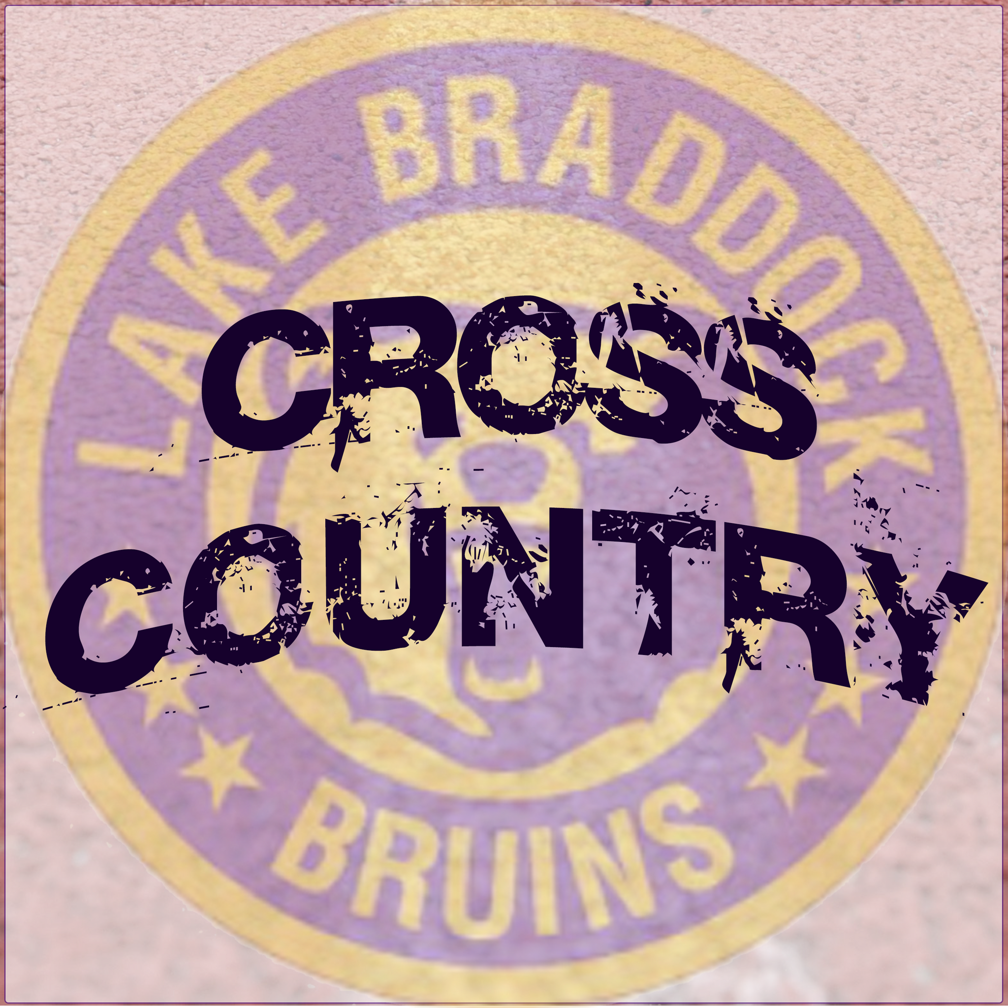 Donations - Lake Braddock Cross Country Run-a-Thon