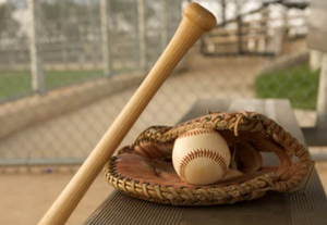 Donations - Lake Braddock Baseball
