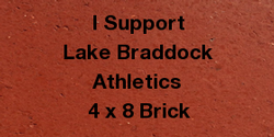 STADIUM BRICKS